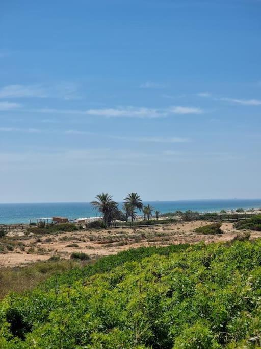 Marbella Sea View Apartament Arenales del Sol Eksteriør billede